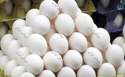 قیمت هر کیلو تخم مرغ 11 هزار تومان است