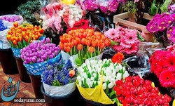 گلباران صادرات پنج میلیون دلاری ایران در فصل بهار