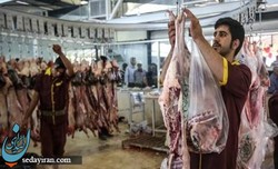 مواظب شباهت علائم کرونا و تب کنگو باشید