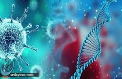 رکورد شکنی کرونایی قزوینی ها در یک روز
