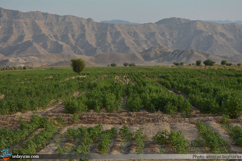 (تصاویر) نگاهی به روستای محروم و دور افتاده درز و سایبان/ در این سرای بی کسی، کسی به در نمی زند