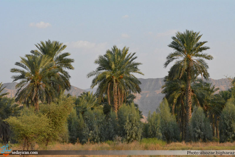 (تصاویر) نگاهی به روستای محروم و دور افتاده درز و سایبان/ در این سرای بی کسی، کسی به در نمی زند