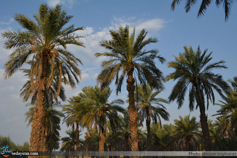 (تصاویر) نگاهی به روستای محروم و دور افتاده درز و سایبان/ در این سرای بی کسی، کسی به در نمی زند