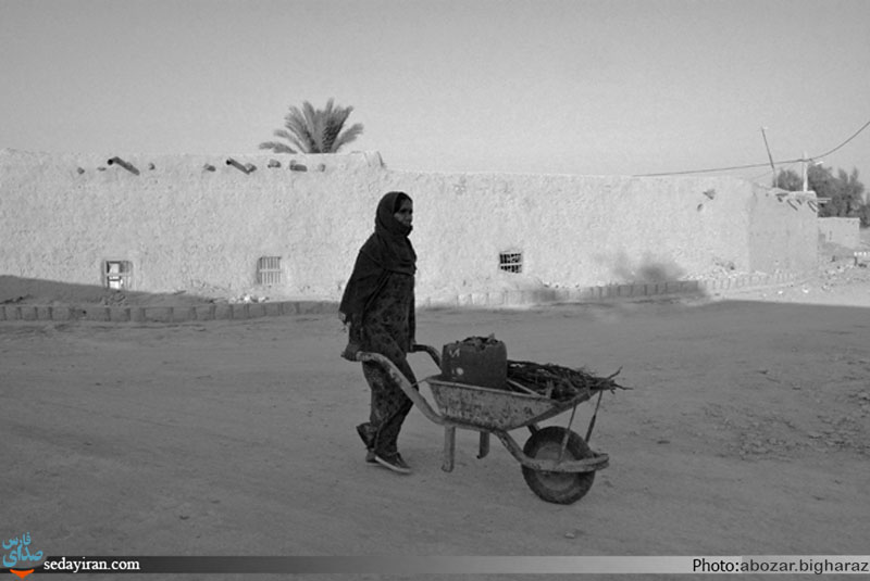 (تصاویر) 