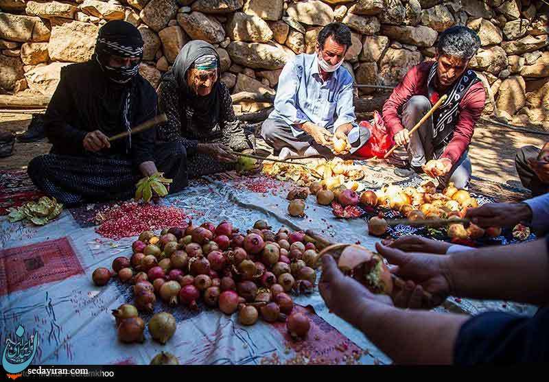 (تصاویر) آیین انار تکانی در روستای چنار - خوزستان
