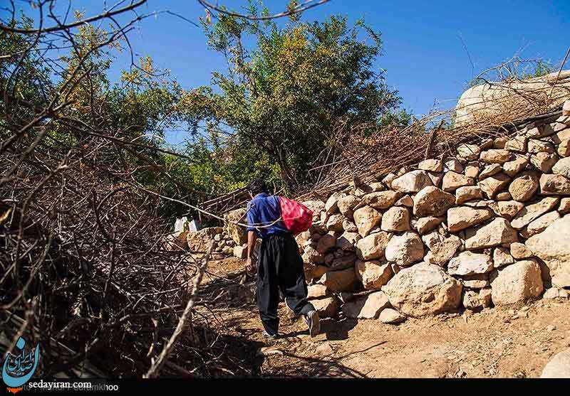 (تصاویر) آیین انار تکانی در روستای چنار - خوزستان