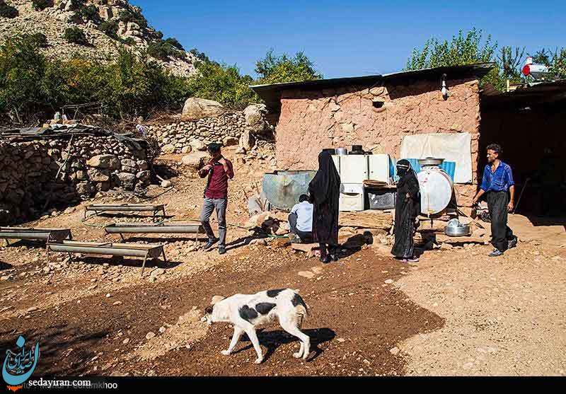 (تصاویر) آیین انار تکانی در روستای چنار - خوزستان