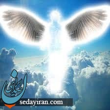 ویرجین چیست؟