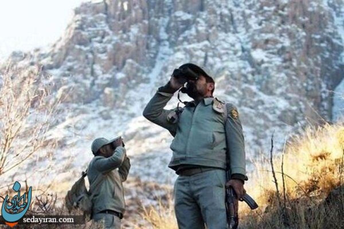 قاتل محیطبان برومند نجفی بخشیده شد رئیس کل دادگستری کرمانشاه تشریح کرد