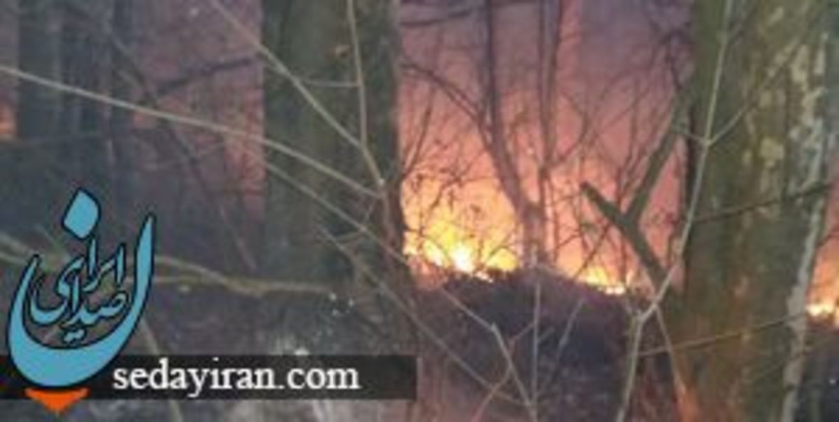 آتش‌سوزی مجدد در میانکاله درخواست اعزام بالگرد به منطقه