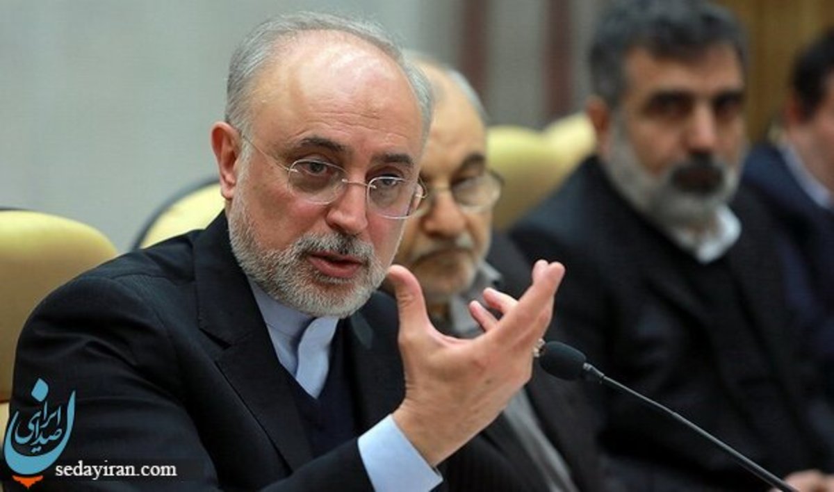 واکنش صالحی به گزارش جنجالی کمسیون اصل نود