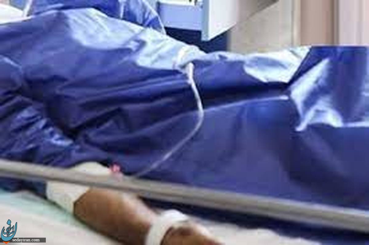 مسمویت 50 دانشجوی دانشگاه علوم پایه زنجان با متهمان برخورد می شود