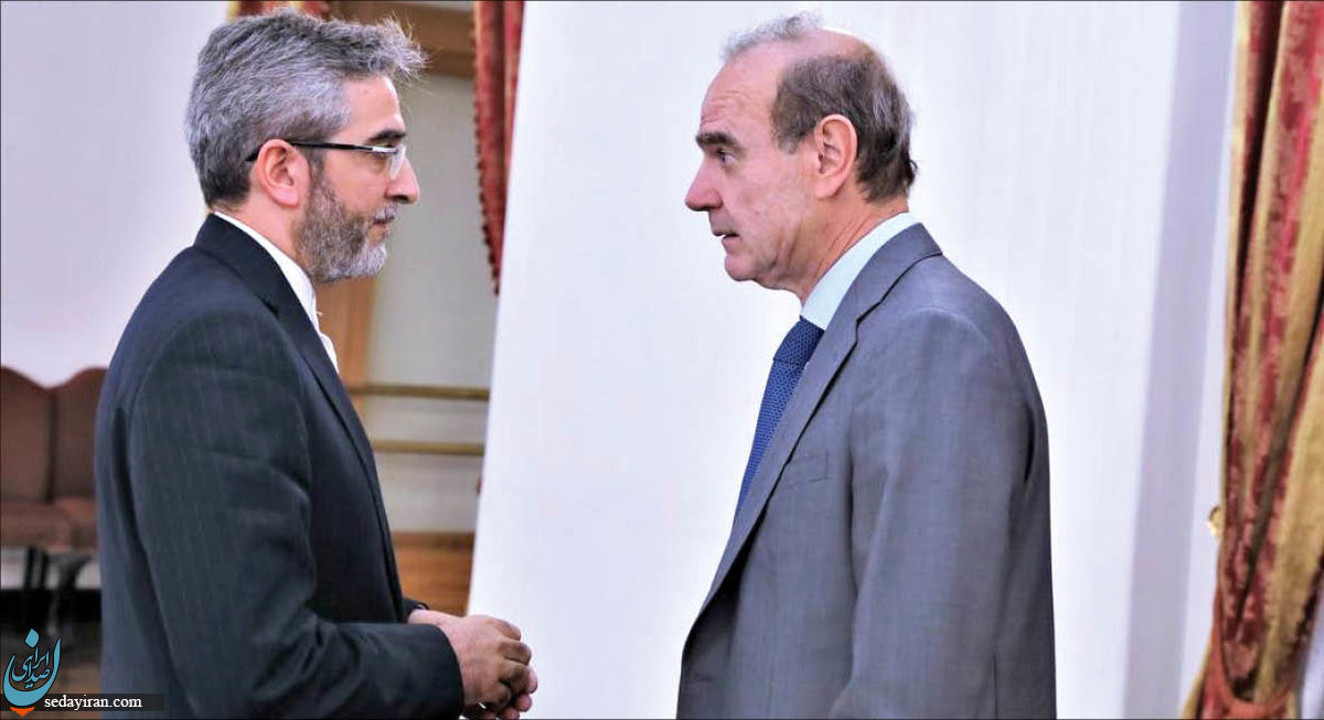 باقری و مورا برای ادامه مذاکرات راهی وین شدند