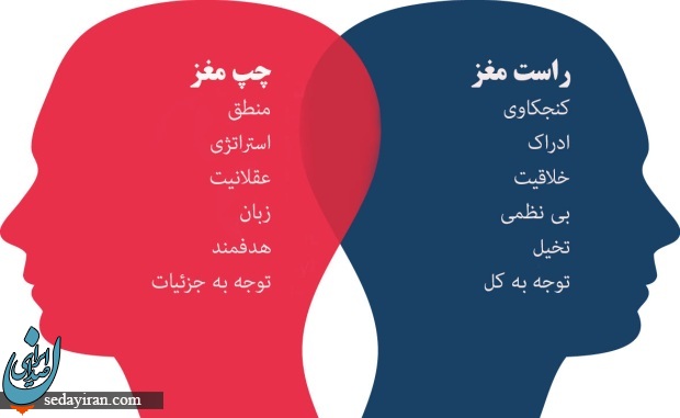 روز چپ دست ها 1401 چه روزی است؟ / خصوصیات چپ دستان روز چپ دست ها 1401 چه روزی است؟ / خصوصیات چپ دستان