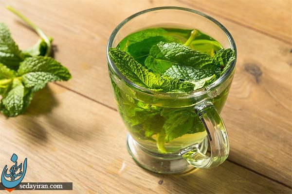 طبع نعناع چیست؟