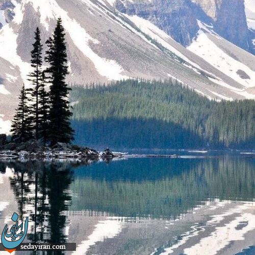 زیست بوم چیست؟