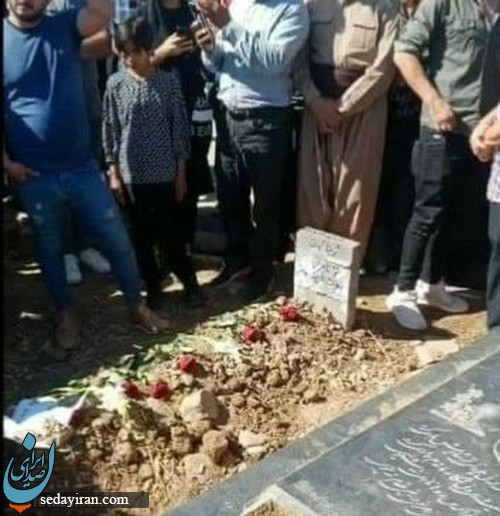 امجد امینی کیست؟
