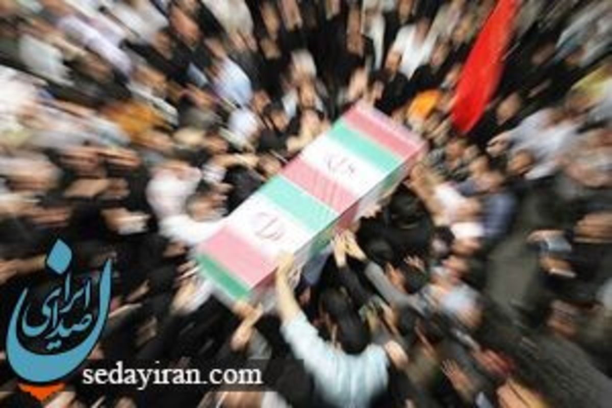 فرماندار قشم: مجتبی امیری در ناآرامی های این شهر شهید شد