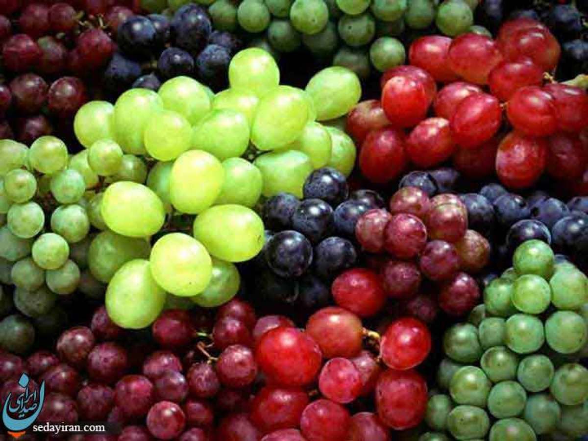 2 روش در طرز درست کردن سرکه انگور فواید و مضرات
