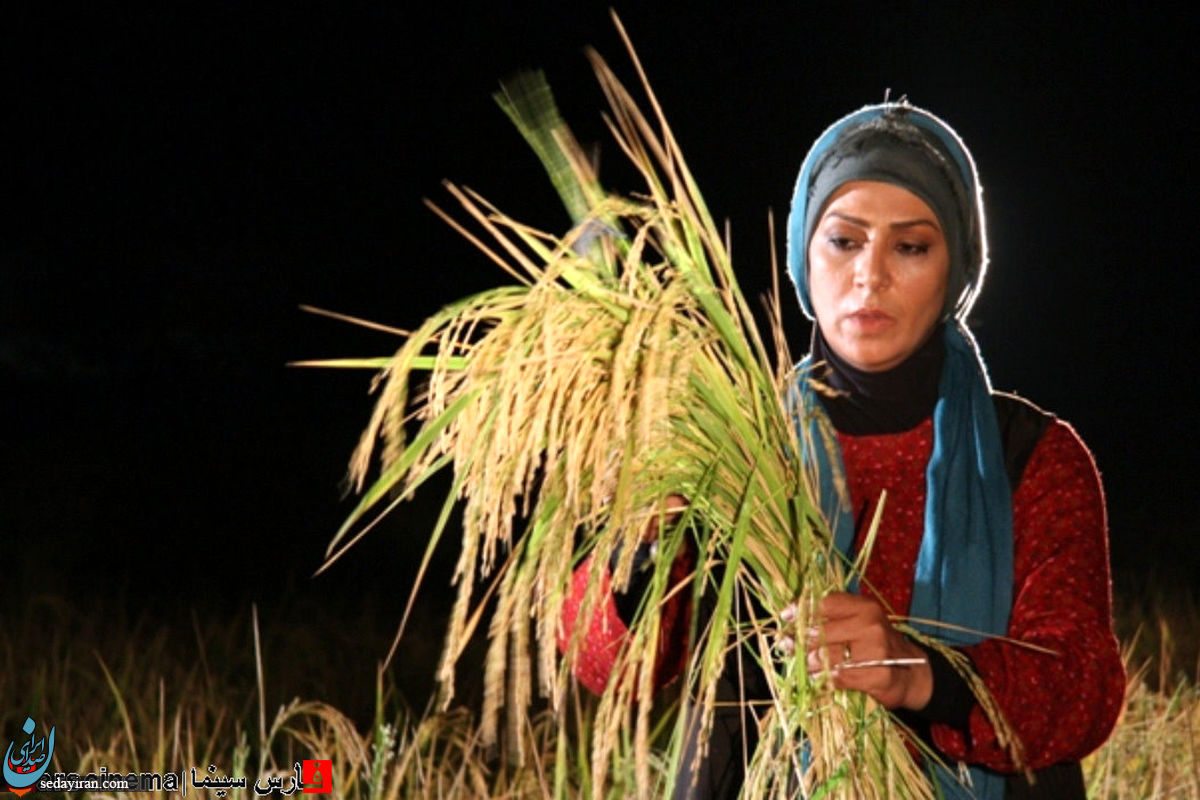 نسرین مقانلو به سوگ پسرش نشست تصویر قبل از مرگ عرشیا