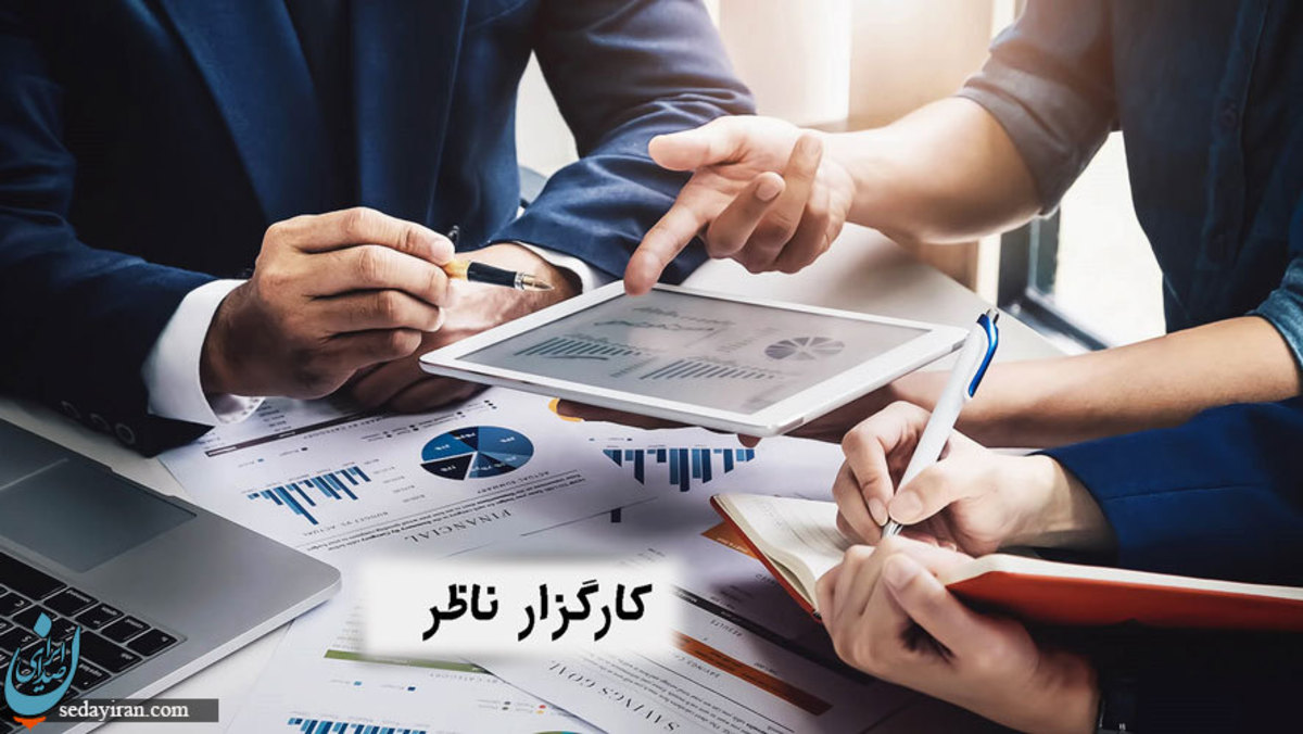 کارگزار ناظر کیست؟