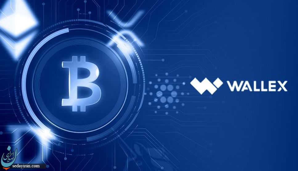 معرفی صرافی ارز دیجیتال معتبر برای خرید بیت کوین