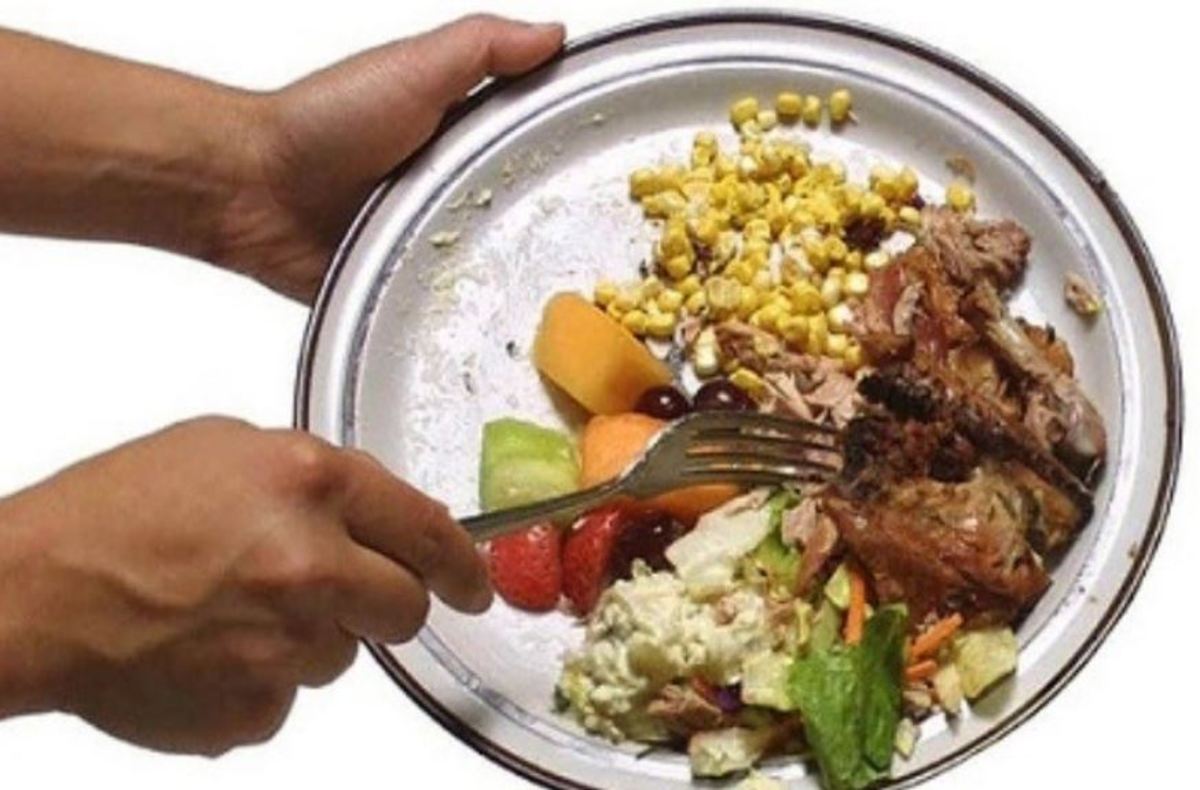 تأثیر غذاهای مانده بر سلامتی