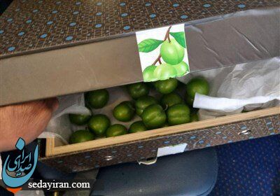 اسرائیل هدایای الهام علی اف را منهدم کرد!