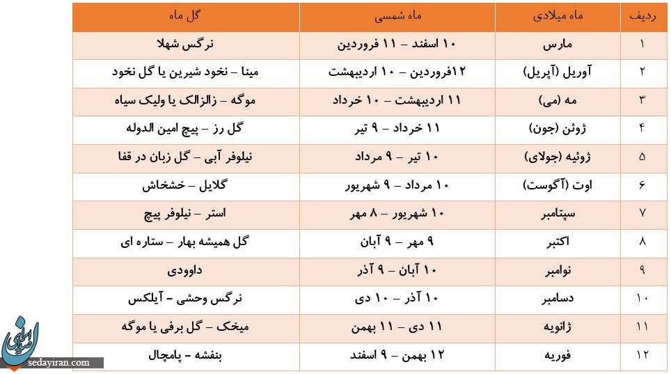با انواع گل ماه تولد بیشتر آشنا شوید