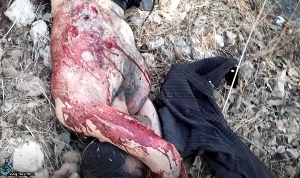 هویت کسی که در یاسوج به هلاکت رسید مشخص شد اعلام زمان تشییع 2 شهید فراحا