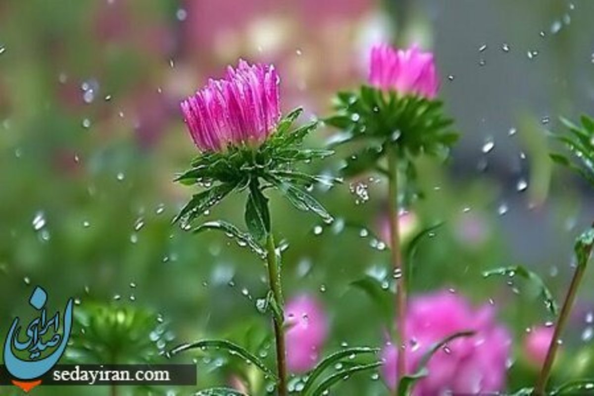 پیش بینی هواشناسی کشور 30 و 31 تیر 1402 بارش باران