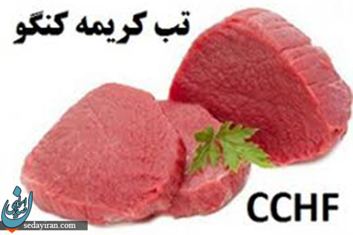 مرگ یک نفر با علائم بیماری کنگو در زاهدان جگر و گوشت تازه به صورت نیم پز نخورید