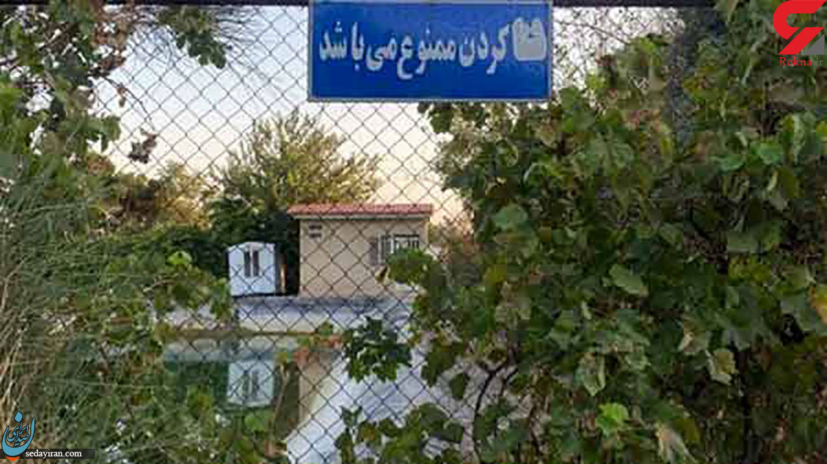 توضیحات شهردار منطقه تهران ۲۱ در باره مرگ ٢ کودک در پارک زیتون مخزن بوستان تا ارتفاع ۲.۵ متر فنس داشته پیمانکار مقصر است