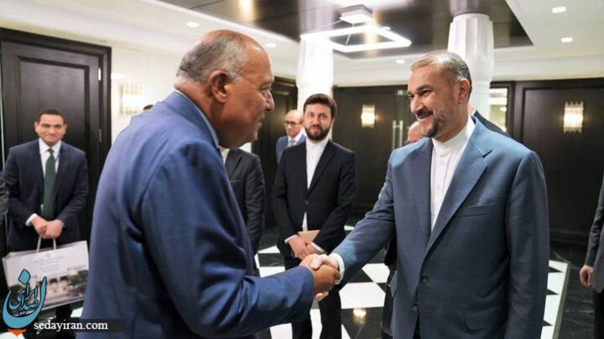 (تصاویر) بازتاب دیدار وزرای خارجه ایران و مصر در رسانه های عربی