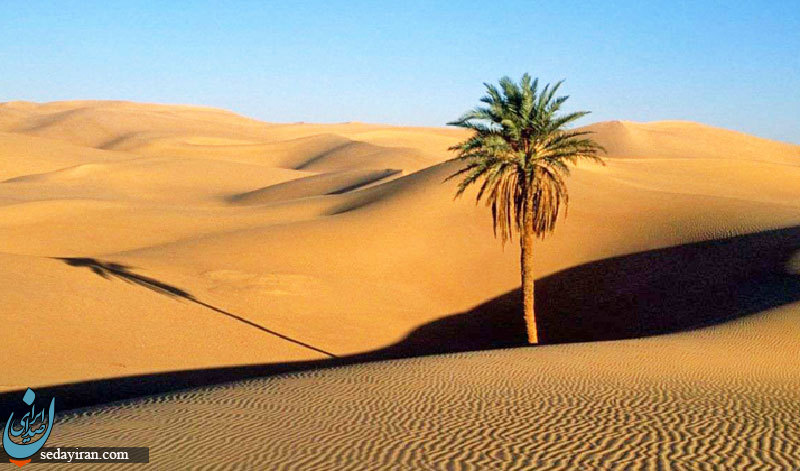 پاییز سفر کجا بریم تا عشق کنیم؟