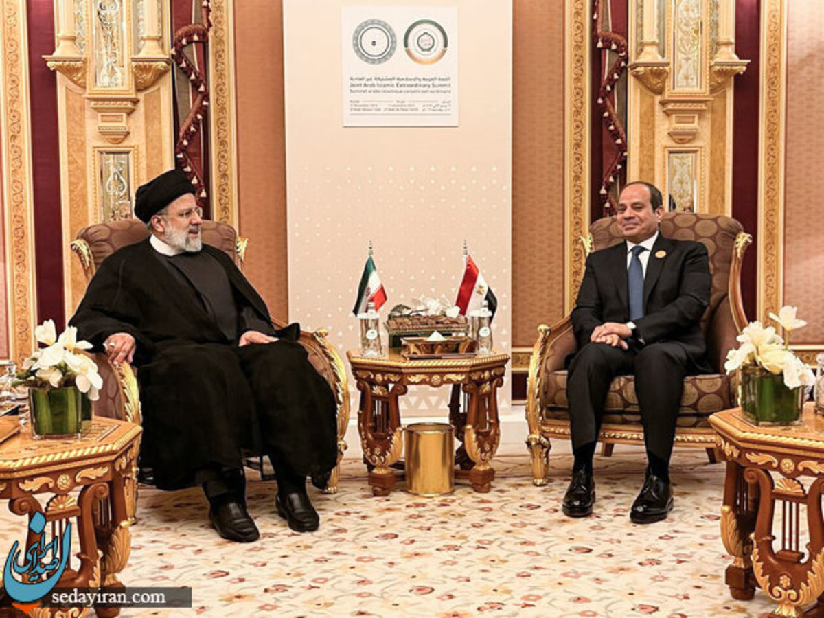 دیدار و گفتگوی رئیسی با رئیس جمهور مصر