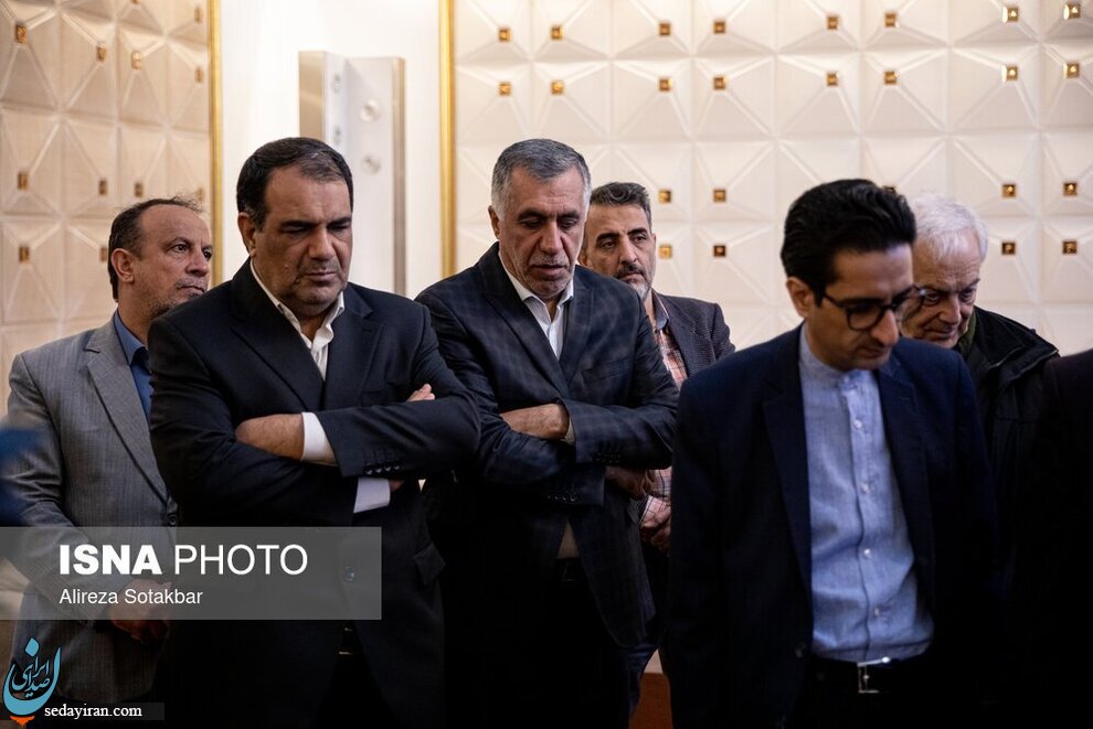 پیکر محمدعلی اسلامی ندوشن به ایران آمد