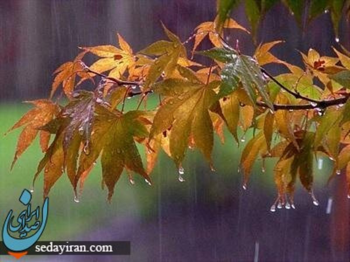 صدور هشدار نارنجی‌ هواشناسی در 8 استان کشور افزایش ارتفاع موج در آب‌های جنوب کشور