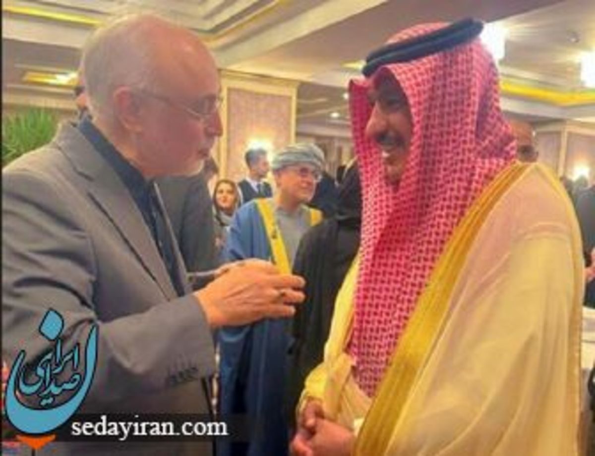 گفت‌وگوی دوستانه سفیر عربستان با علی اکبر صالحی عکس