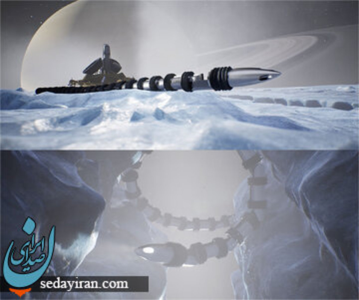 مار چهار متری به فضا فرستاده شد عکس