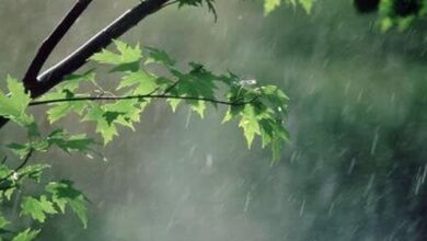 هواشناسی کشور 12 دی 1403 ؛ بارش برف و باران