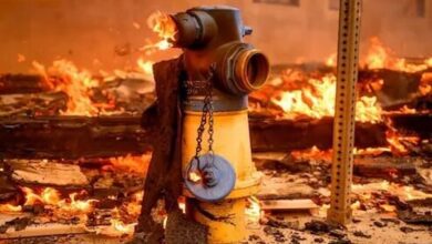 تدوام آتش‌سوزی در «لس آنجلس» ؛ مرگ 11 تن تاکنون
