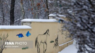 بارش برف در تهران - 29 دی (+عکس)