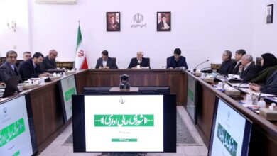عارف: کاهش تصدی گری در دولت چهاردهم محقق می شود