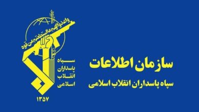 دستگیری یک عامل مرتبط با سرویس اطلاعاتی کشور همسایه در اردبیل