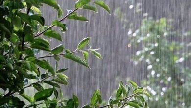 هواشناسی کشور 8 دی 1403 ؛ بارش برف و باران