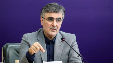 فرزین: تسهیل‌گری در اعطای تسهیلات خرد را به فرهنگ شعب تبدیل شود