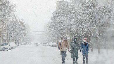 هواشناسی کشور 20 بهمن 1403؛ سامانه بارشی جدید جدید