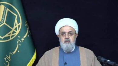 شهریاری: تا زمانی که مردم پای انقلاب هستند ما هیچ آسیبی نخواهیم داشت