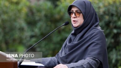 مهاجرانی: دولت برنامه فعالی برای مقابله با فشار حداکثری دارد ؛ اینترنت طبقاتی ندارم